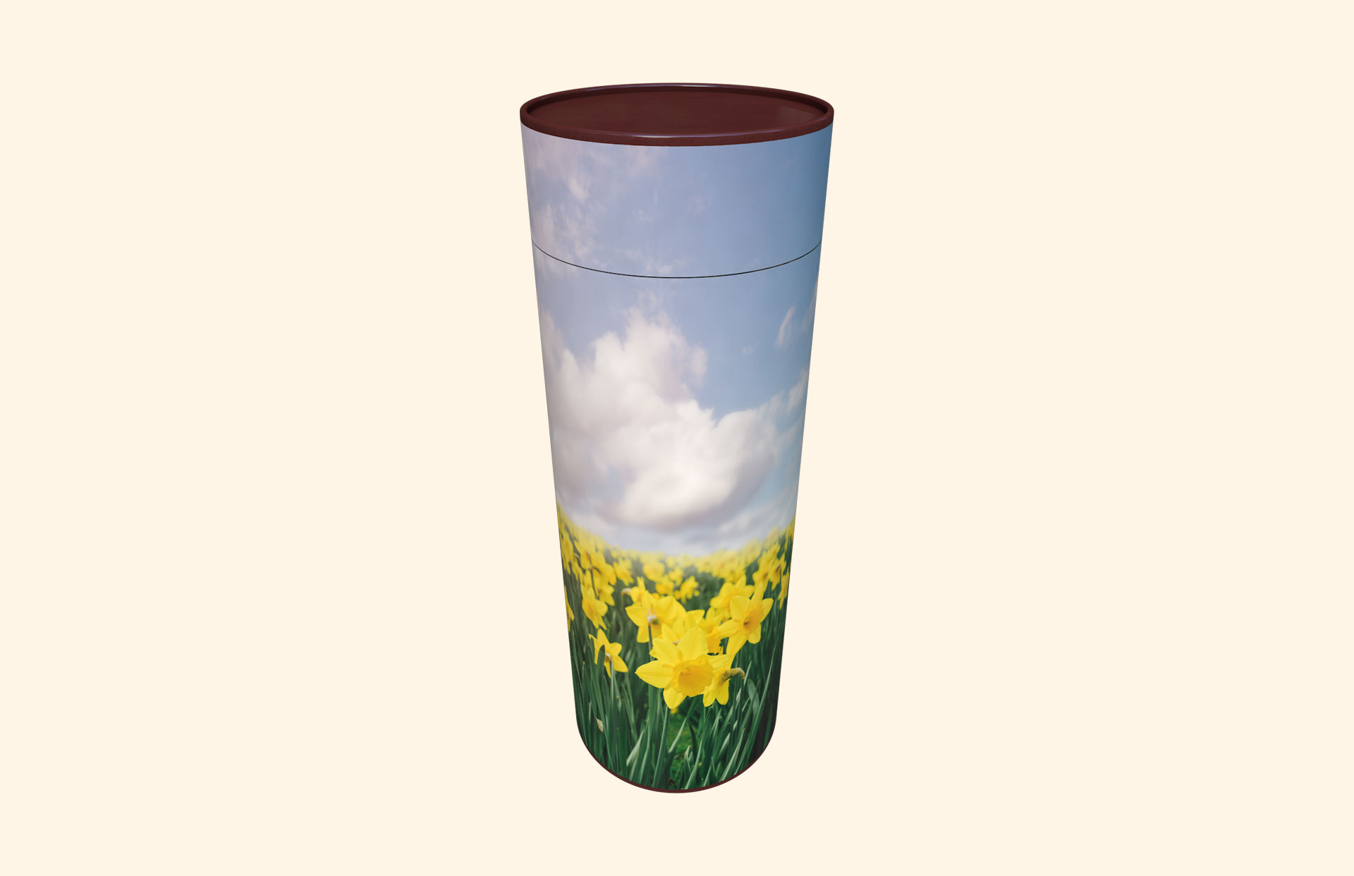 Field of Daffodils scatter tube